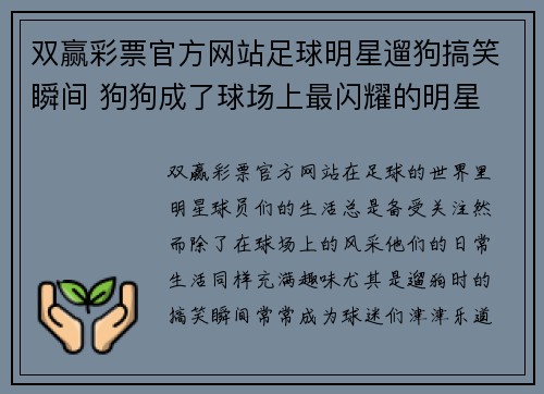 双赢彩票官方网站足球明星遛狗搞笑瞬间 狗狗成了球场上最闪耀的明星