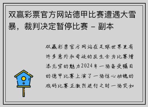双赢彩票官方网站德甲比赛遭遇大雪暴，裁判决定暂停比赛 - 副本