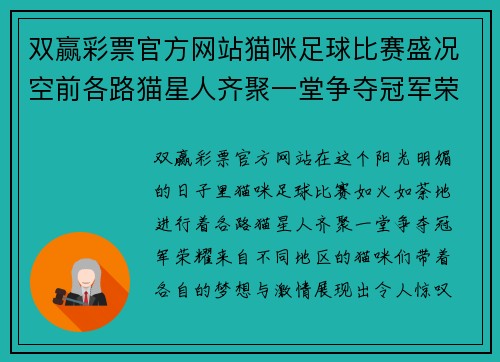 双赢彩票官方网站猫咪足球比赛盛况空前各路猫星人齐聚一堂争夺冠军荣耀